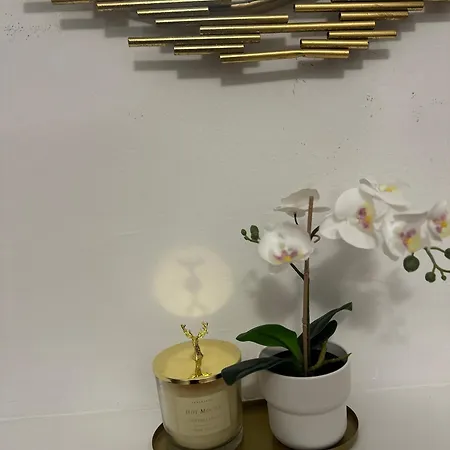 Rambla Flat 10 Lejlighed